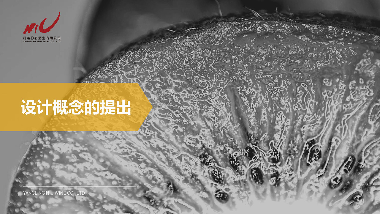 2018|“你有”猕猴桃酒包装设计提案（图ZMjUxNTUyNTQ0） - 包装 - 站酷设计师mozoltovDD原创素材 - 站酷ZCOOL