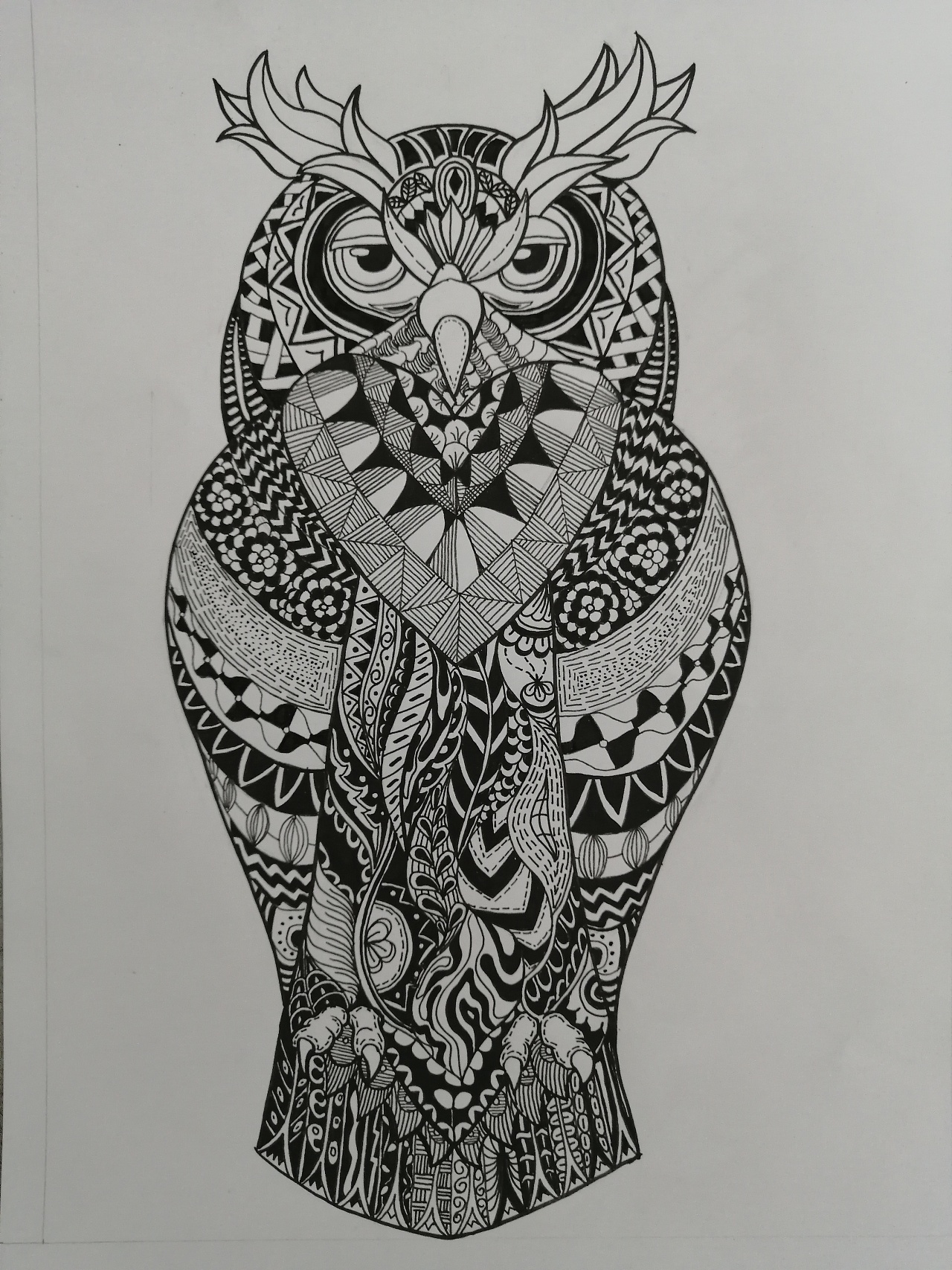 黑白装饰画 猫头鹰|插画|创作习作|我有一颗月亮 - 原创作品 - 站酷