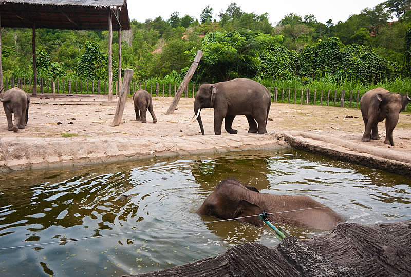 胶卷摄影_沙巴_丛林深处城市之间_4day