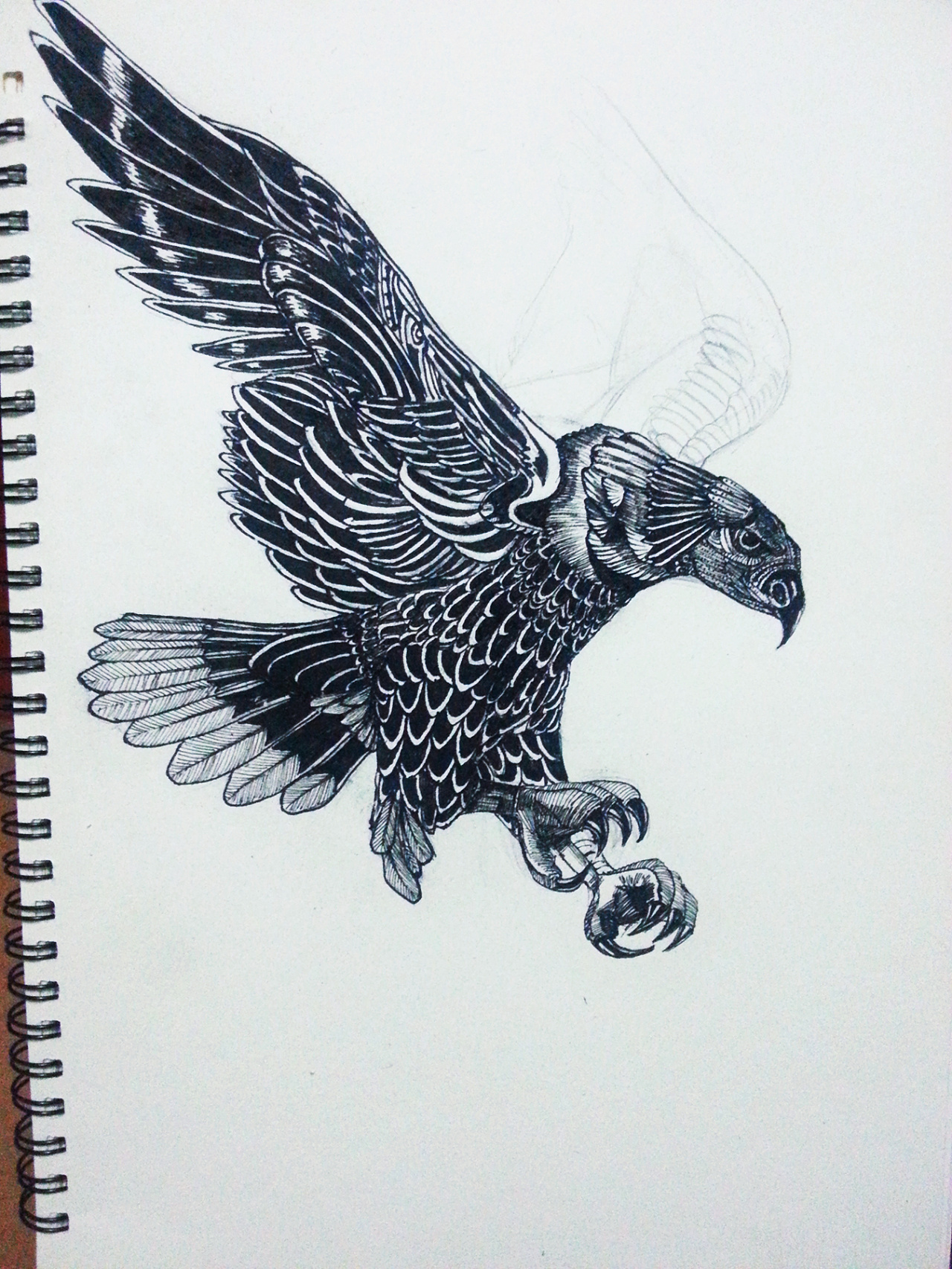手绘/鹰|插画|艺术插画|rambo_z - 原创作品 - 站酷 (zcool)