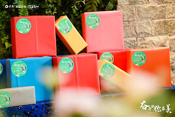 2021 保利湾区女神节活动