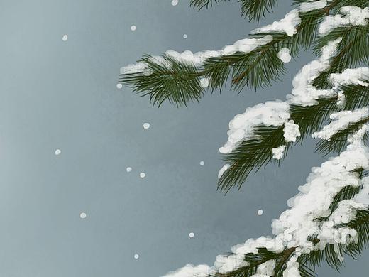 大雪压青松