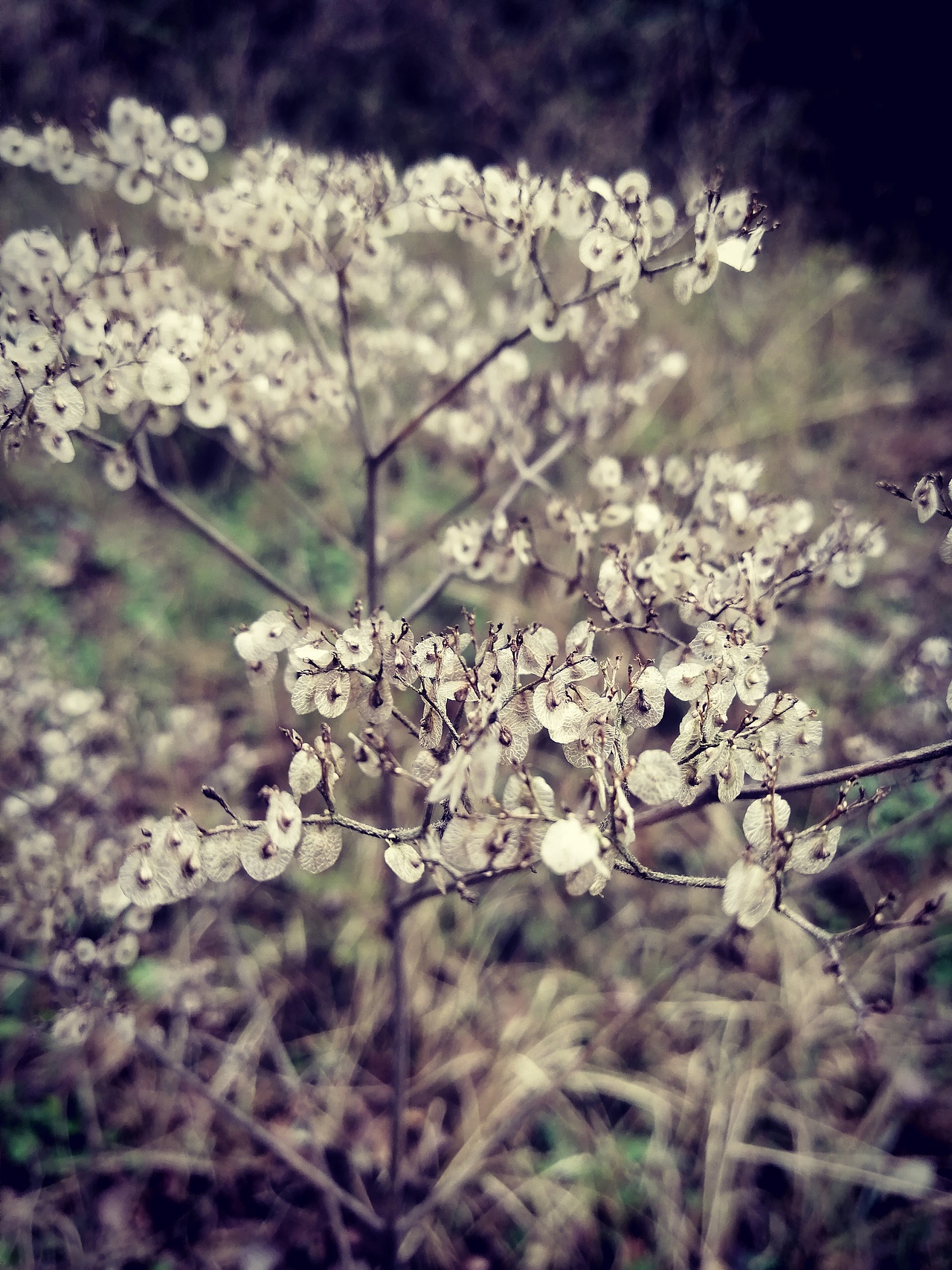 流年浮生（圖ZMjA0Mzk4OTY4） - 環(huán)境/建筑攝影 - 站酷設(shè)計(jì)師A玖熙原創(chuàng)素材 - 站酷ZCOOL