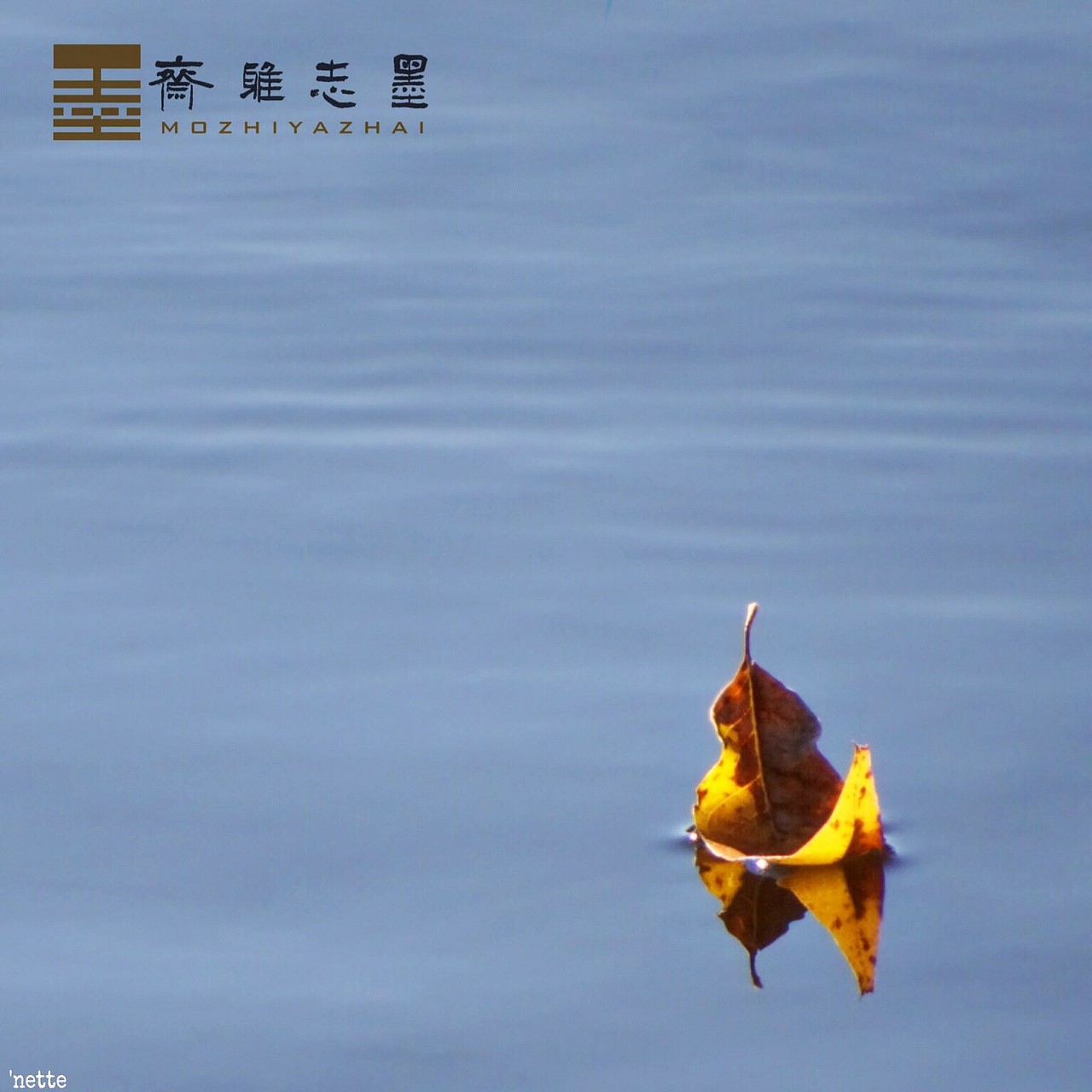 自然造物 吾栖之态