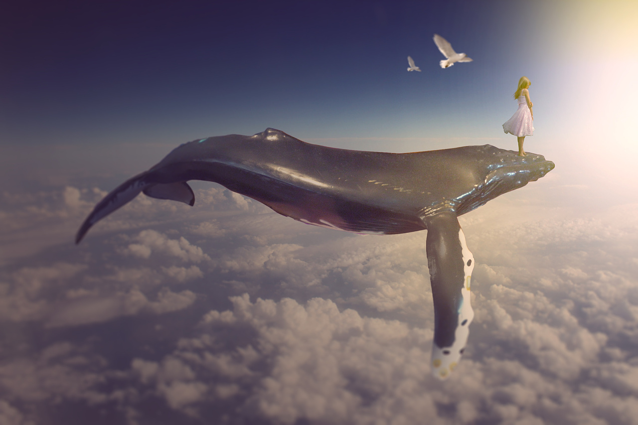 合成图|平面|海报|saison - 原创作品 - 站酷 (zcool)