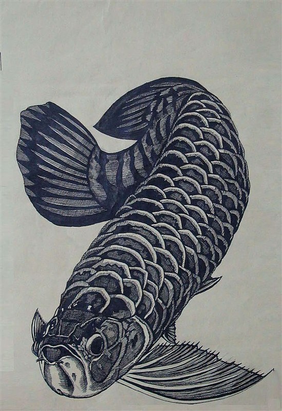 我画的龙鱼