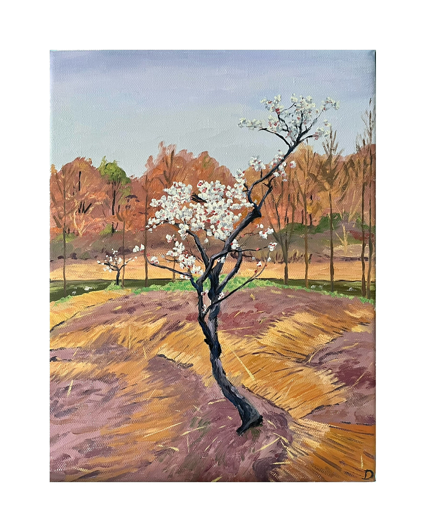 油画（图ZMzYyNzAxODEy） - 绘画 - 站酷设计师DIDIHUA原创素材 - 站酷ZCOOL