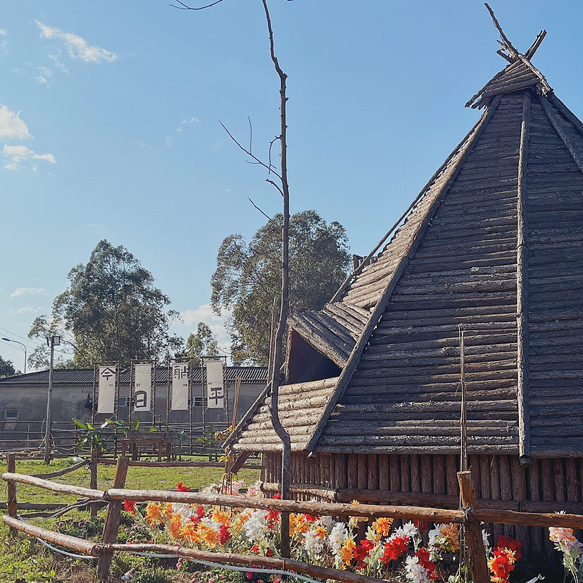 手机拍摄-汕头-科牧羊场