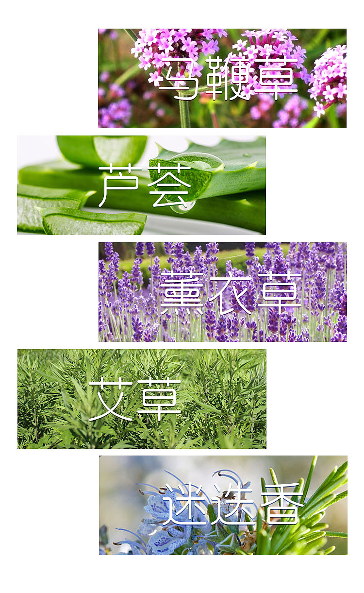 薇萃（图ZMzQxMTU5MzY=） - 包装 - 站酷设计师红漆工原创素材 - 站酷ZCOOL