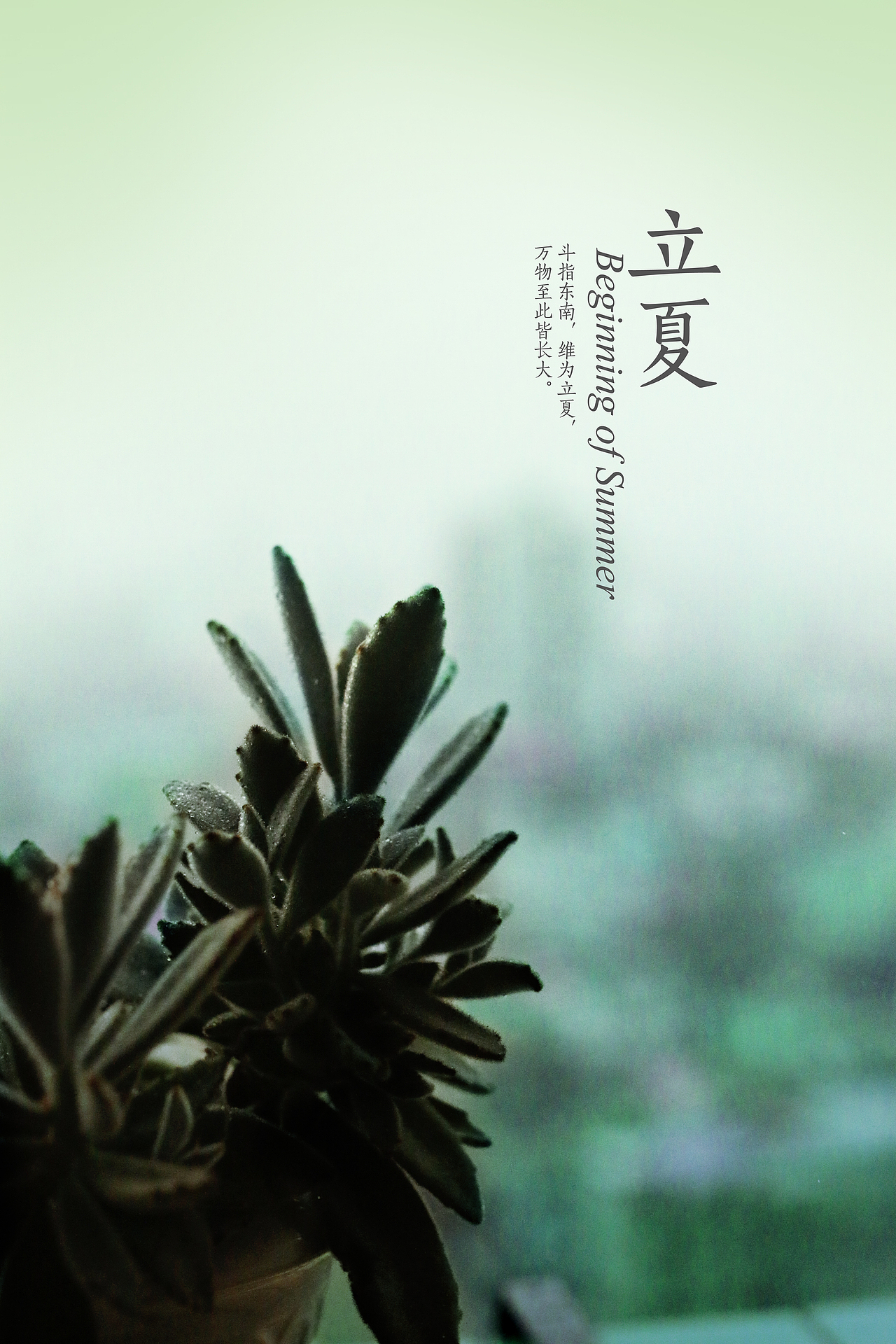 24节气（图ZMjcwMDMxNDA=） - 产品摄影 - 站酷设计师埃呀巍原创素材 - 站酷ZCOOL