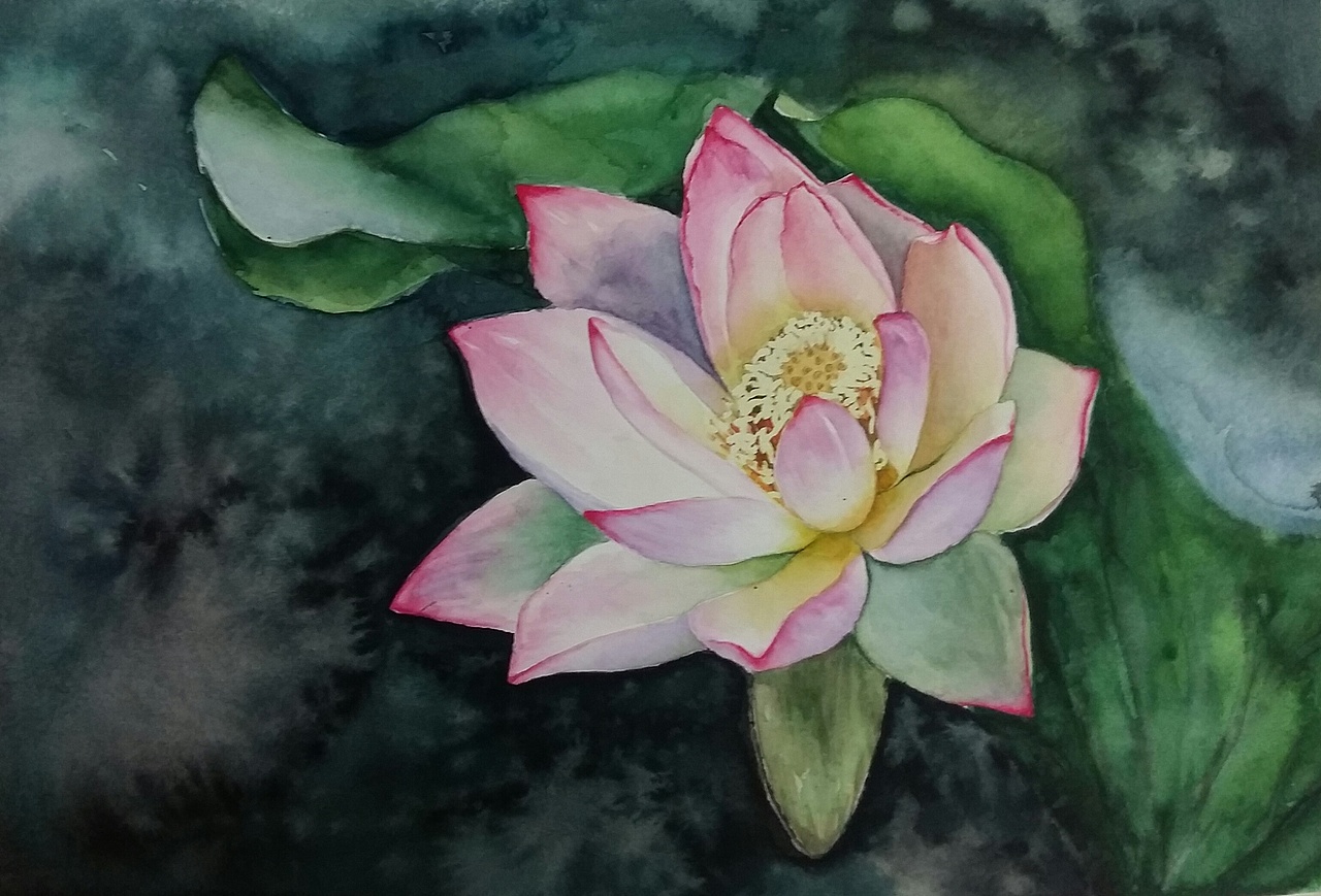 近期水彩作品,有临摹也有照片写生.