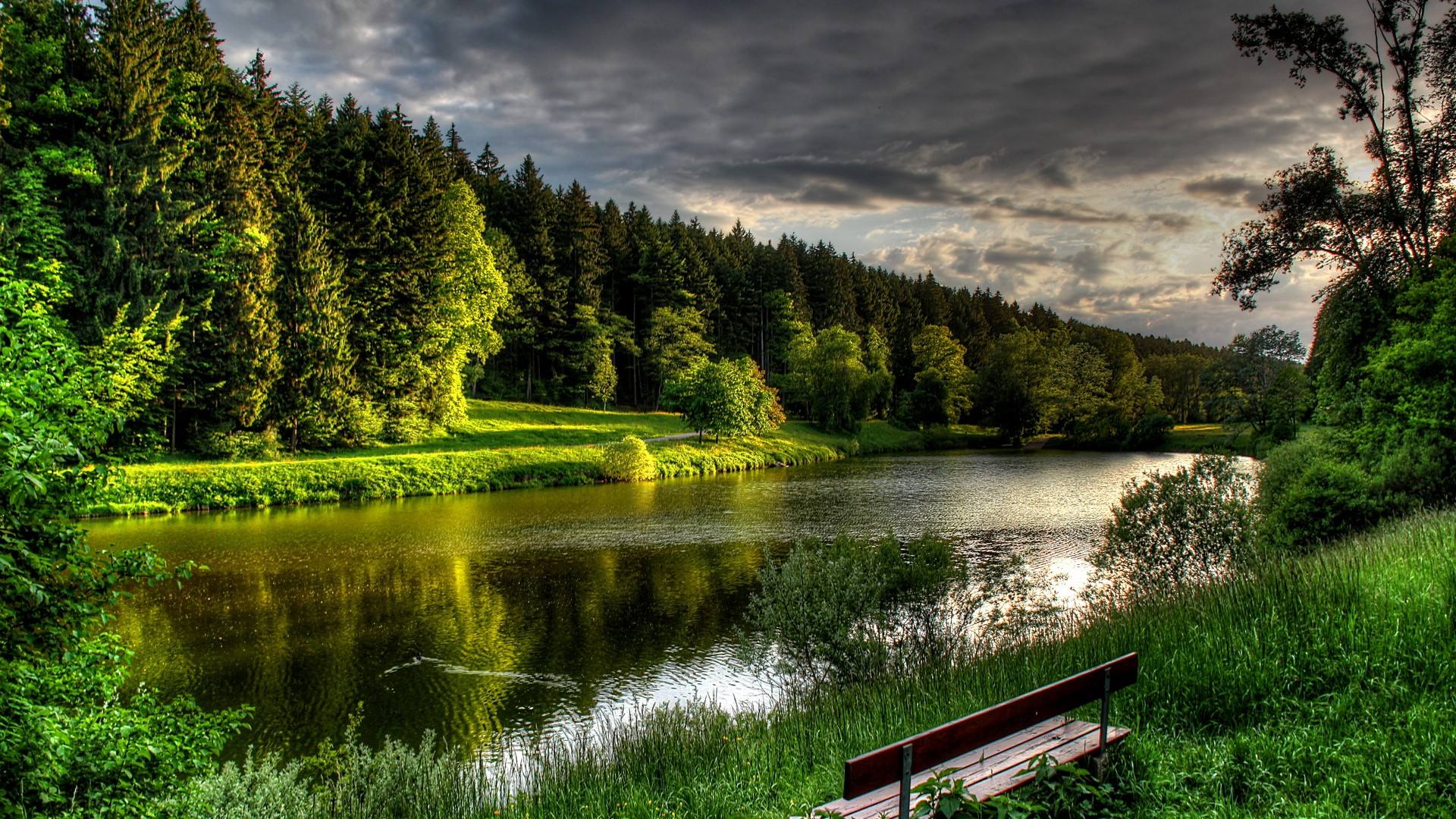 柏杨柳的个人主页（封面预览） - 主页封面设置 - 站酷设计师柏杨柳原创素材 - 站酷ZCOOL