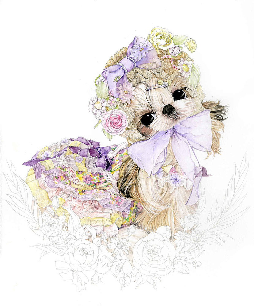 甜蜜花园里的西施犬