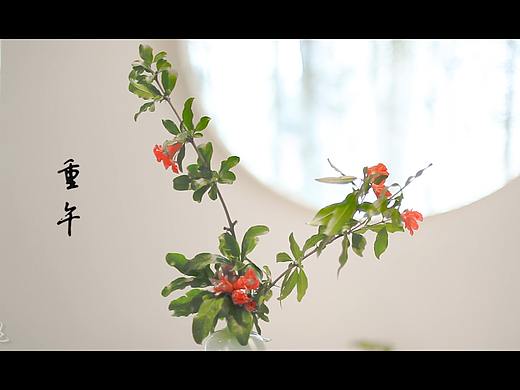 PR剪辑调色端午宣传片学习练习作品