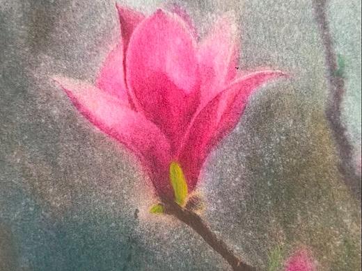 水彩花卉（个人主页-ZNzA2Mzk2MDg=） - 绘画 - 站酷设计师乙安原创素材 - 站酷ZCOOL