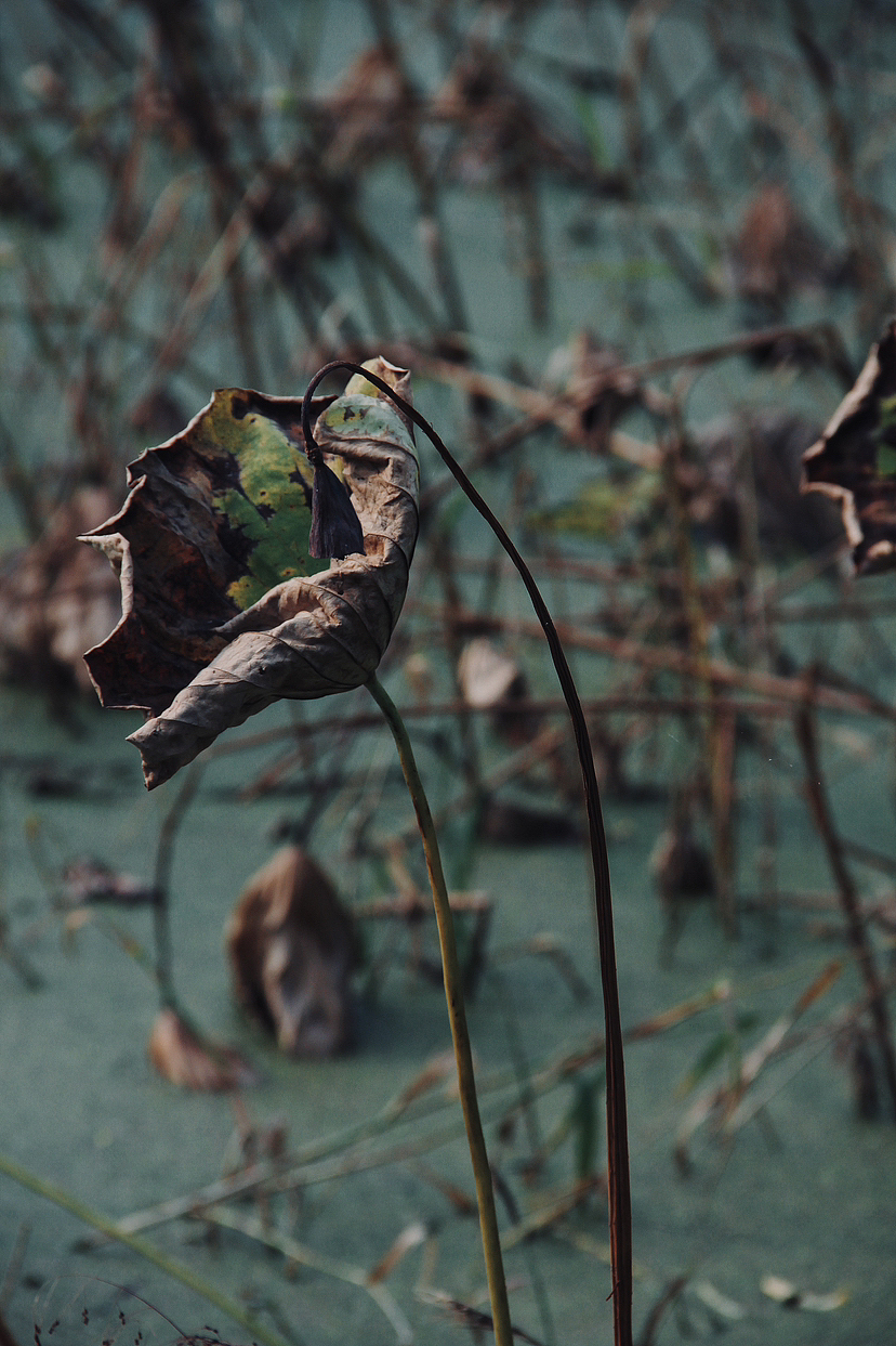 快门记录时间的流逝