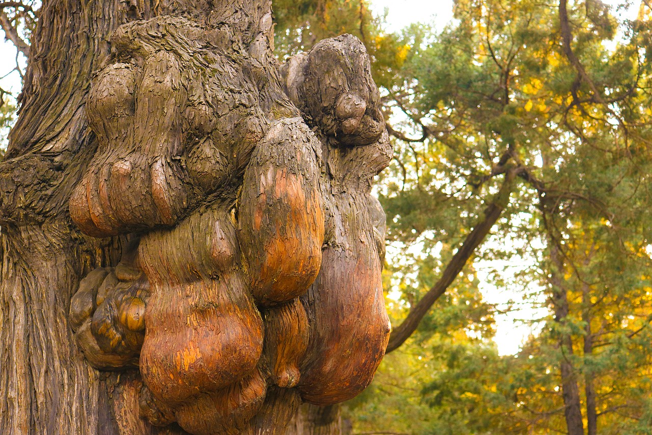 微风轻拂，阳光不燥，三月掠影去