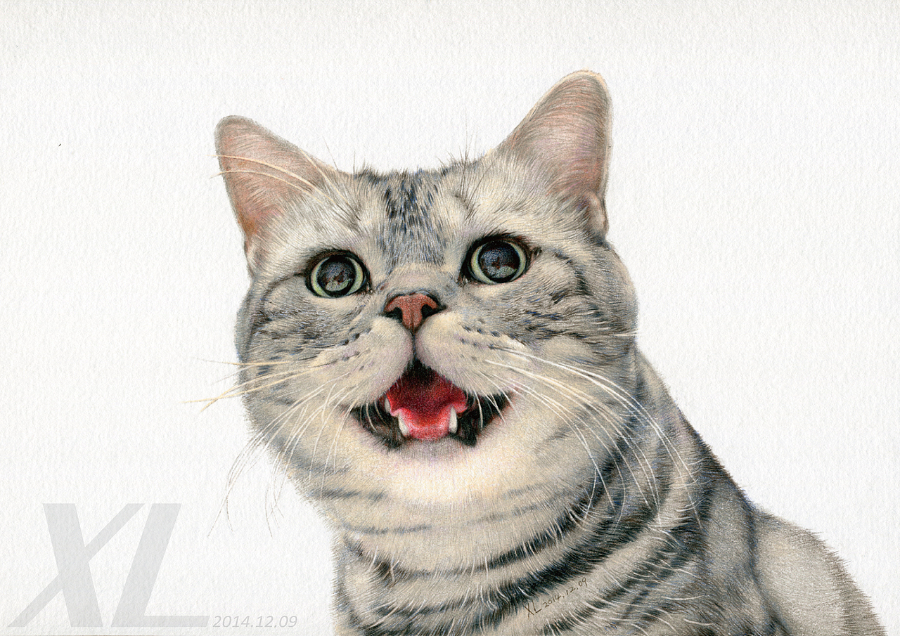 彩铅画这里有50只喵星人