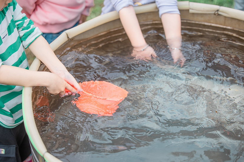 森海幼儿园-🌈春耕初体验🌽