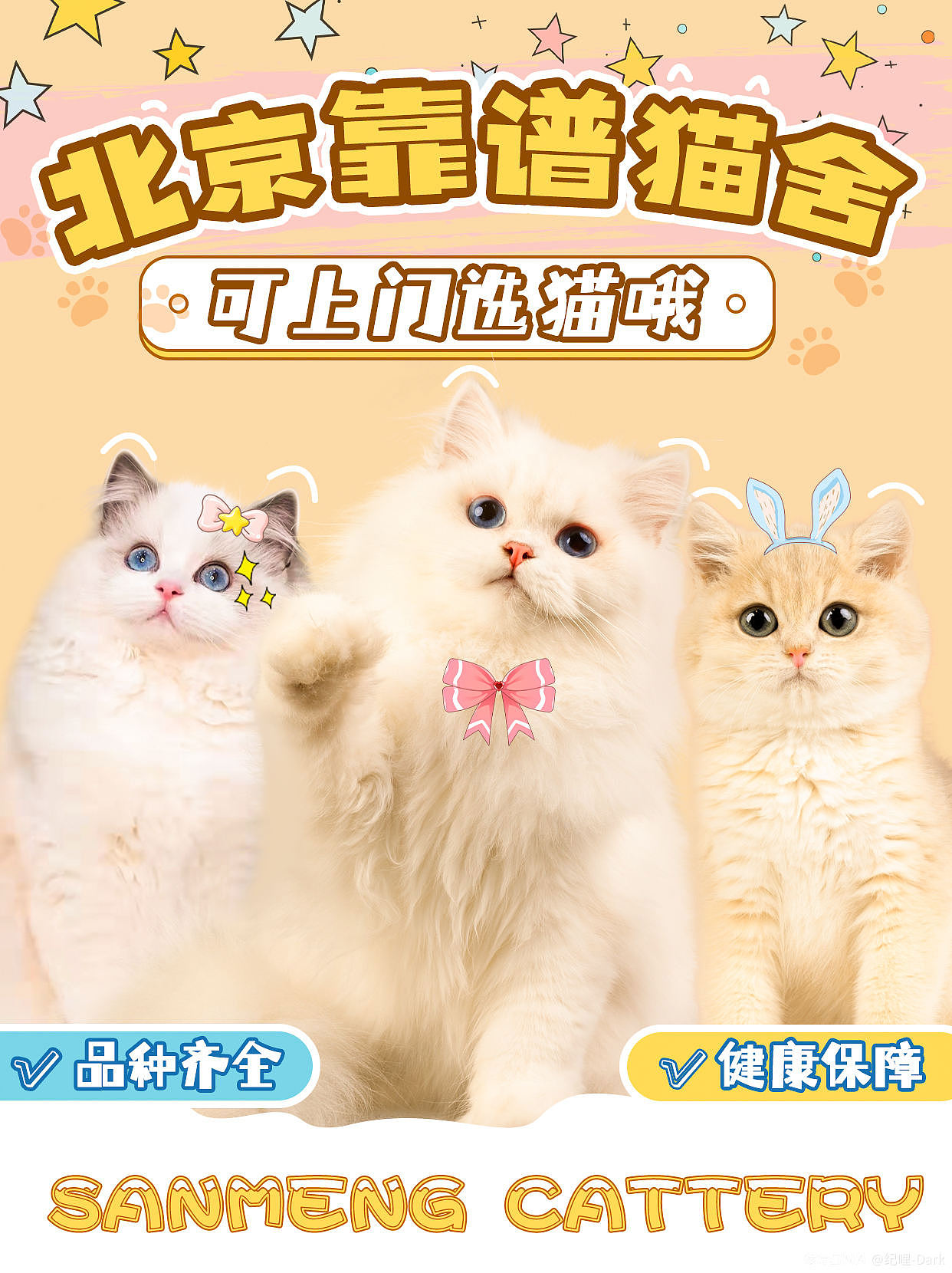 小红书引流宣传图封面宠物海报设计（图ZMjkyNzk1NDAw） - 海报 - 站酷设计师林黑黒原创素材 - 站酷ZCOOL