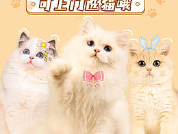 小红书引流宣传图封面宠物海报设计