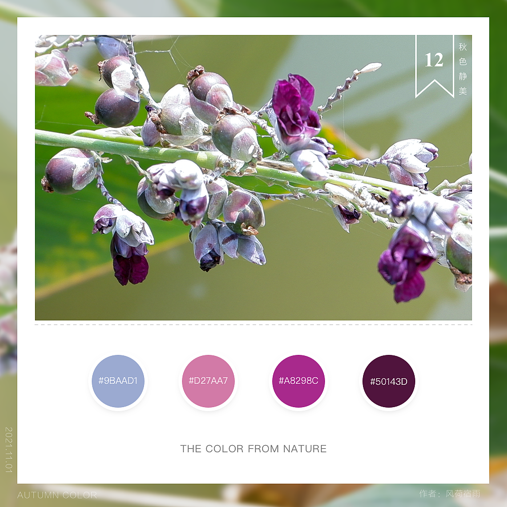 色彩（再力）（图ZMjgyNzQ2MDI0） - 其他 - 站酷设计师风荷宿雨原创素材 - 站酷ZCOOL