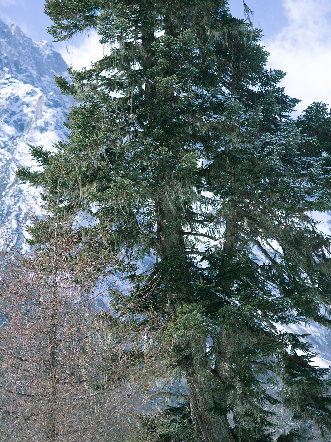 冷酷仙境与世界尽头（图ZMjUwMTA1NDAw） - 风光摄影 - 站酷设计师阿璞UP原创素材 - 站酷ZCOOL