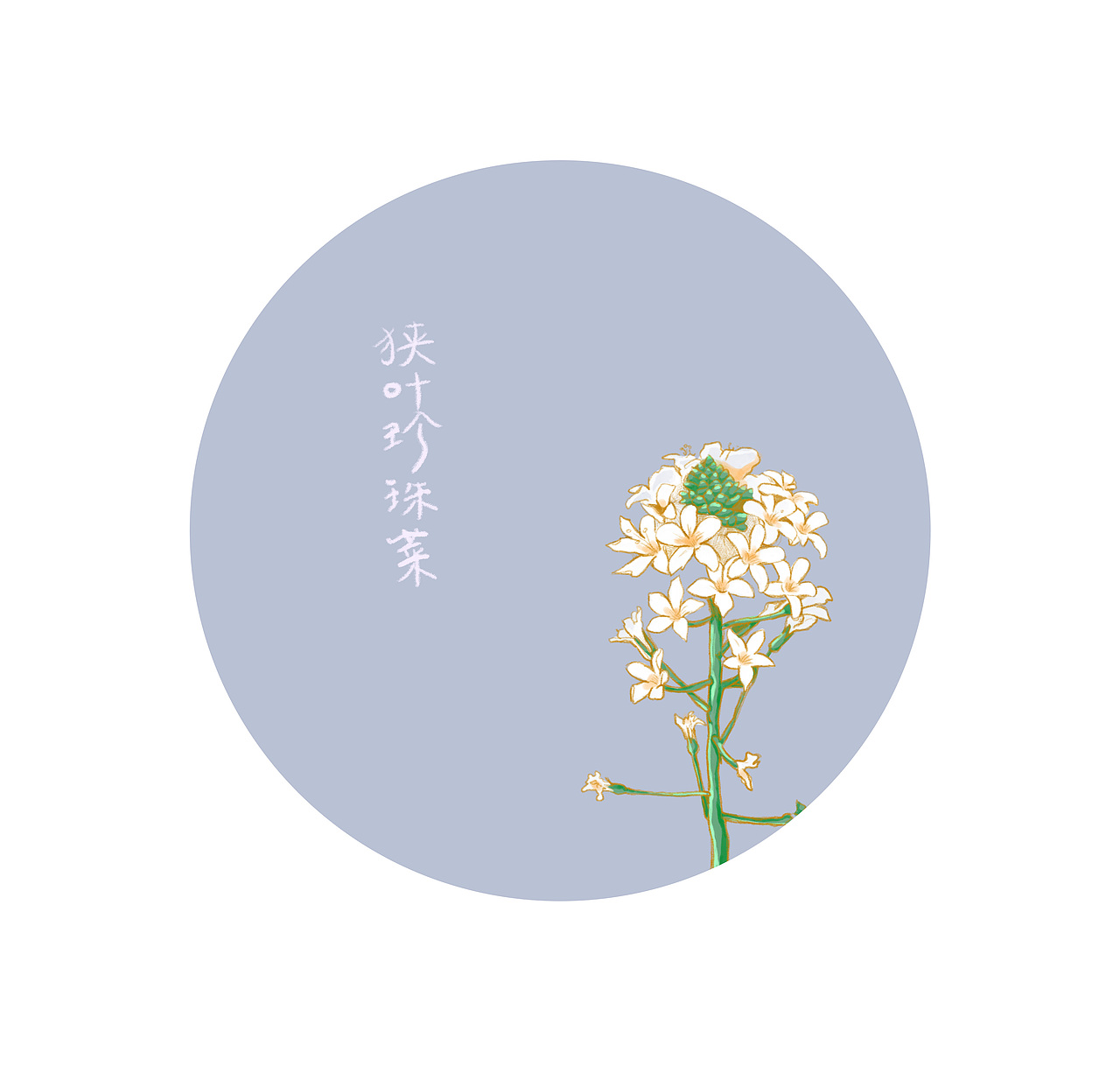 那些我们不知道的事儿（图ZMjM2MDEzOTU2） - 创作习作 - 站酷设计师梅林传奇原创素材 - 站酷ZCOOL