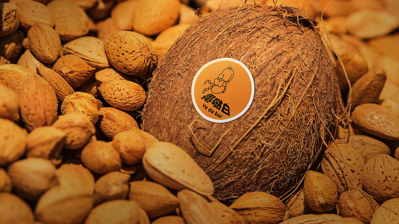 椰哒白品牌logo设计提案（图ZMTk3NTM0ODcy） - 品牌 - 站酷设计师毕九良原创素材 - 站酷ZCOOL