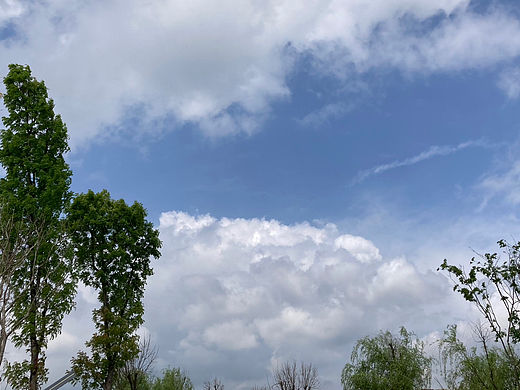 清明节郊区踩图