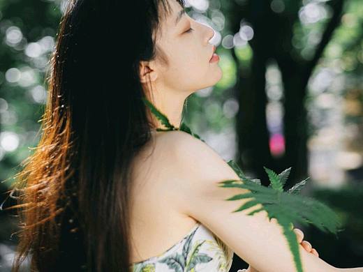 溪边的小蓝