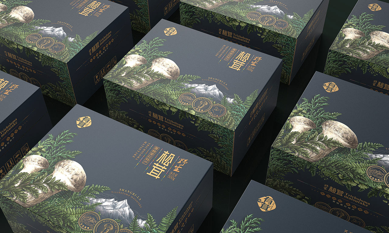 白家云味松茸包装设计