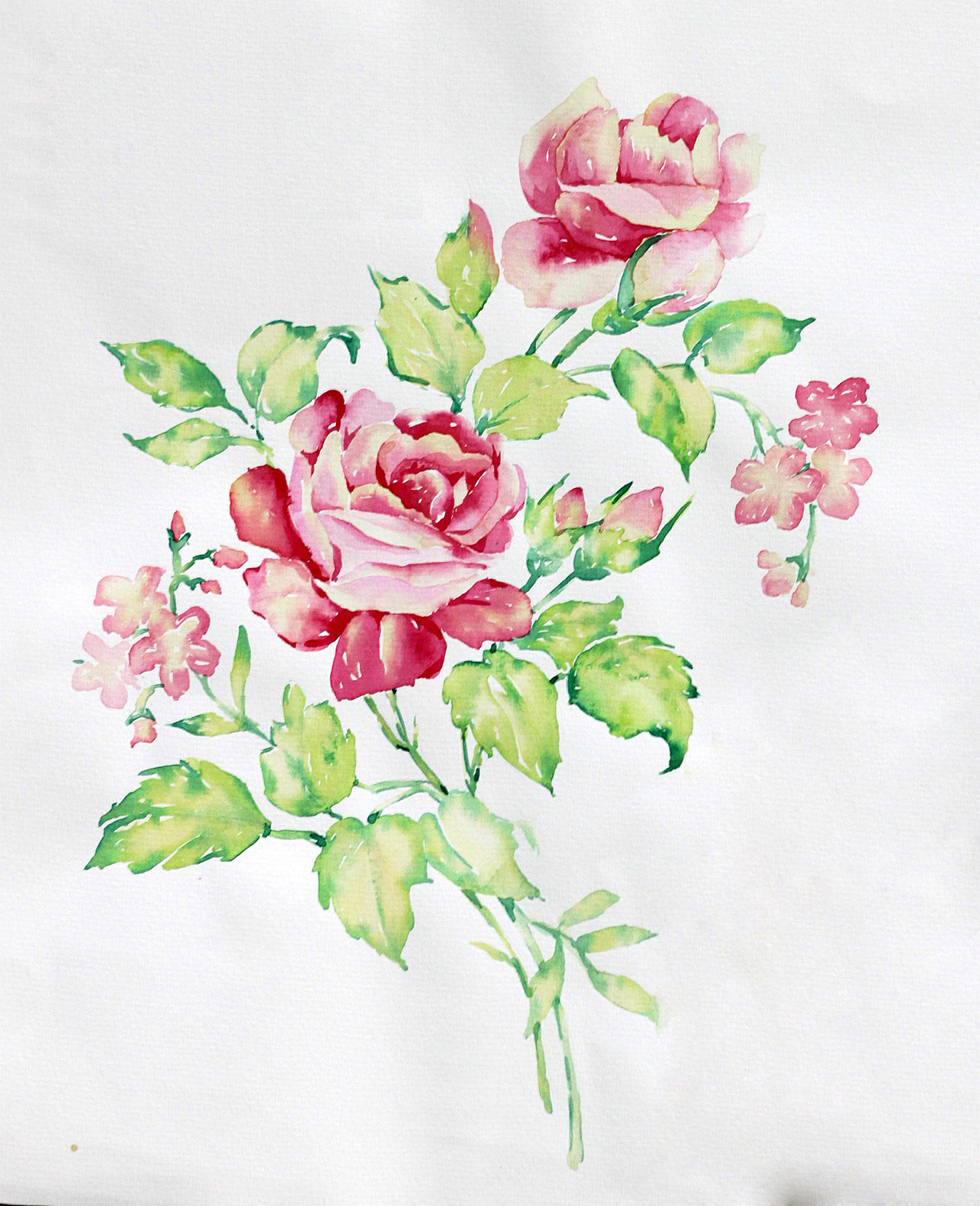 水彩花卉系列之玫瑰