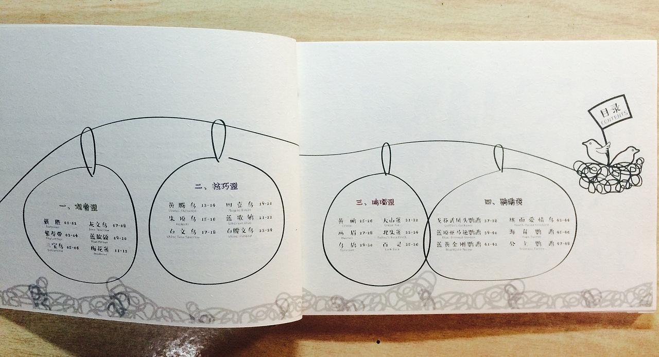 《惜鸟集》书籍设计（图ZMzczMzY4OTI=） - 书籍/画册 - 站酷设计师JANICEYANG原创素材 - 站酷ZCOOL