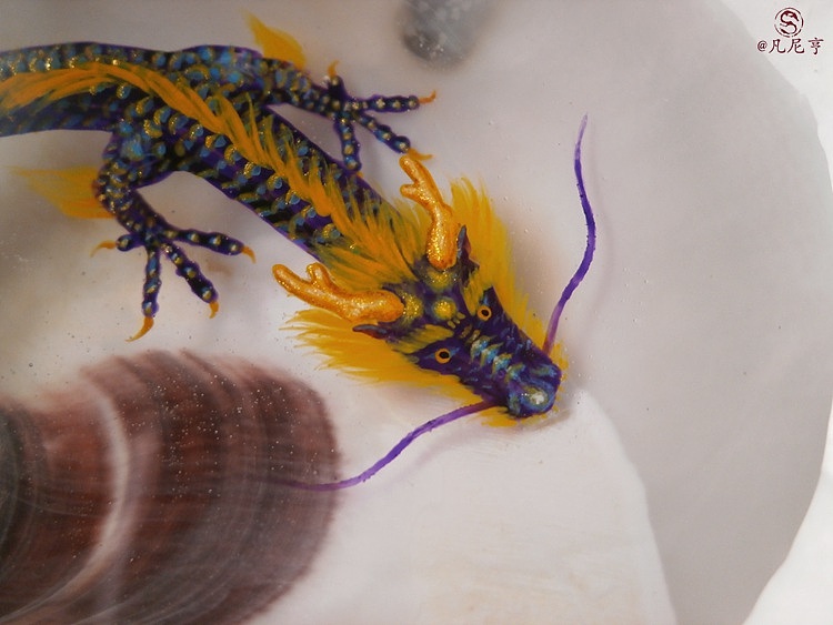 蚝壳寄居小神龙