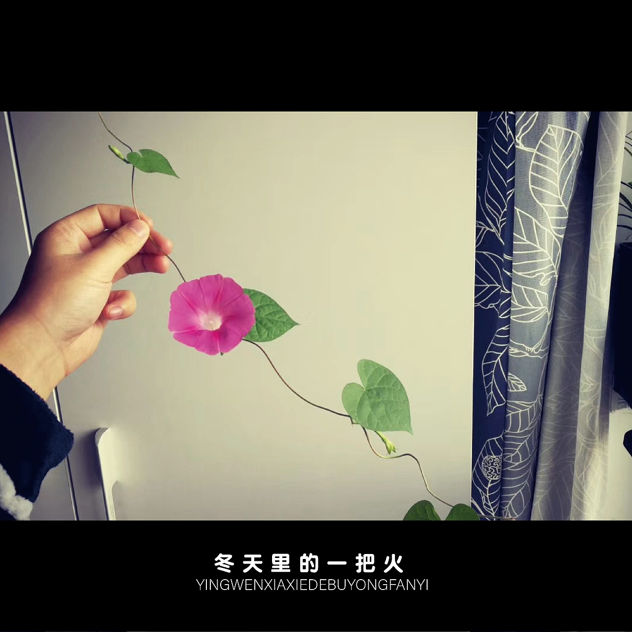 贵在真实（图ZMjE1NDMyMTky） - 其他 - 站酷设计师派大星的回合抽牌原创素材 - 站酷ZCOOL