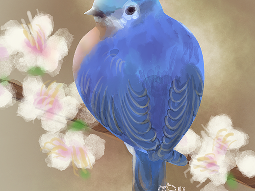 生活中那些温暖治愈的动植物