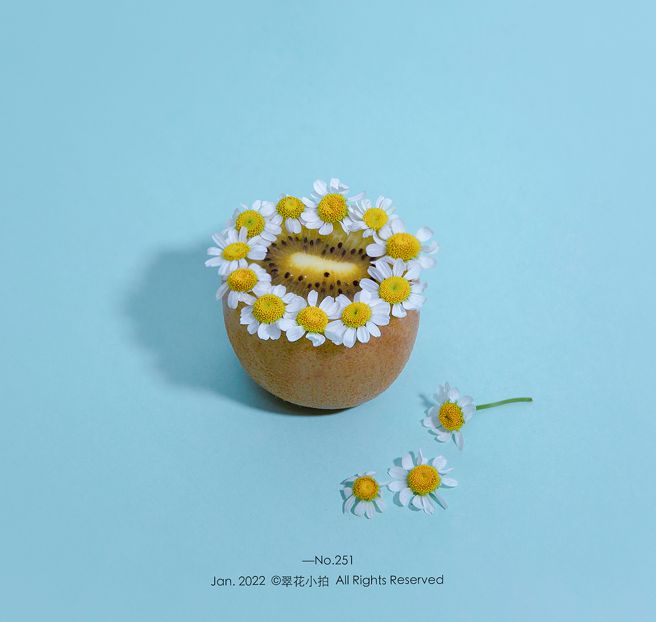 创意摄影#11《花开花落》（图ZMjk1ODQ4NzIw） - 其他摄影 - 站酷设计师翠花小拍原创素材 - 站酷ZCOOL