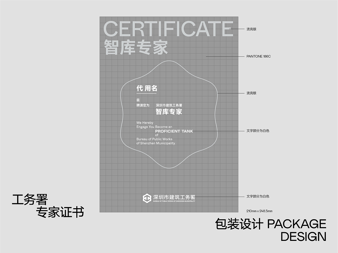 VISUAL DESIGN WORK 2021