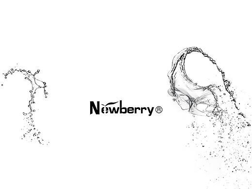 Newberry备长炭水光面膜
