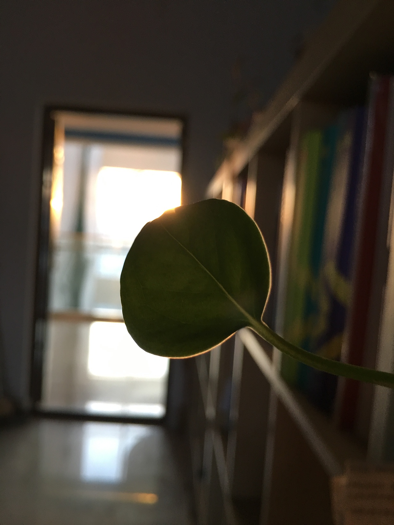 学校的时光（图ZOTU4NDA0MzY=） - 风光摄影 - 站酷设计师探游新生原创素材 - 站酷ZCOOL