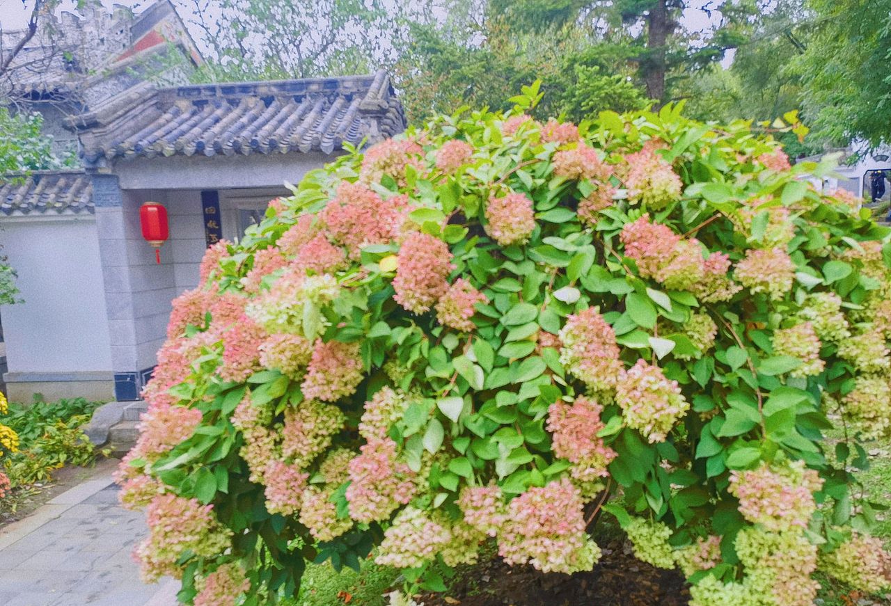 沈阳世博园避坑指南（二）（图ZMzUxOTUyODUy） - 风光摄影 - 站酷设计师晓扬摄影原创素材 - 站酷ZCOOL