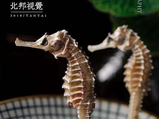 中药材拍摄