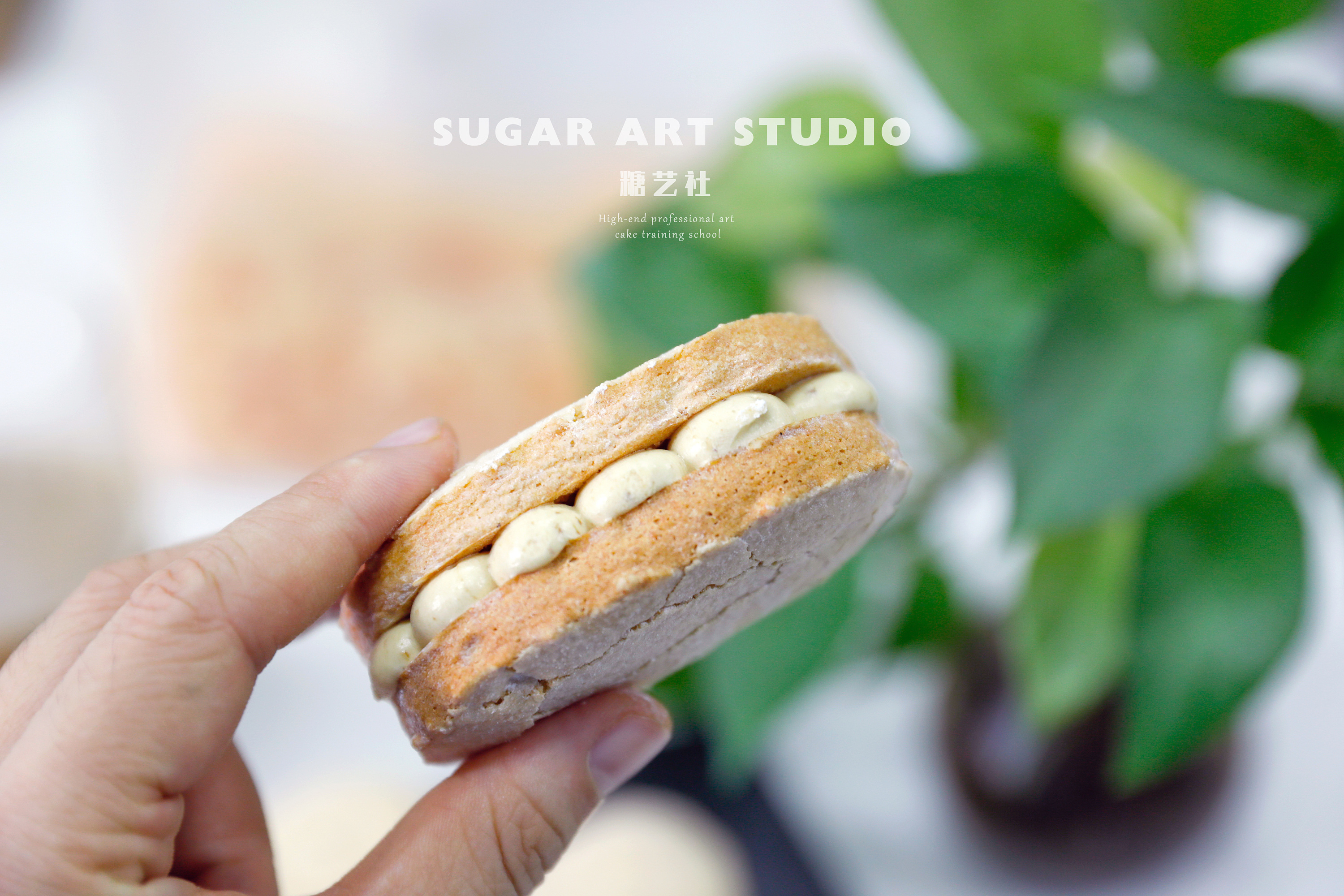 法式甜品 | 达克瓦兹美食拍摄/甜点拍摄摄影/甜品拍摄