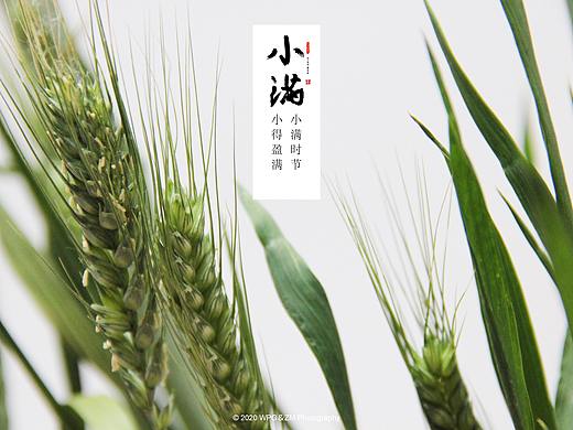 《 小满 》