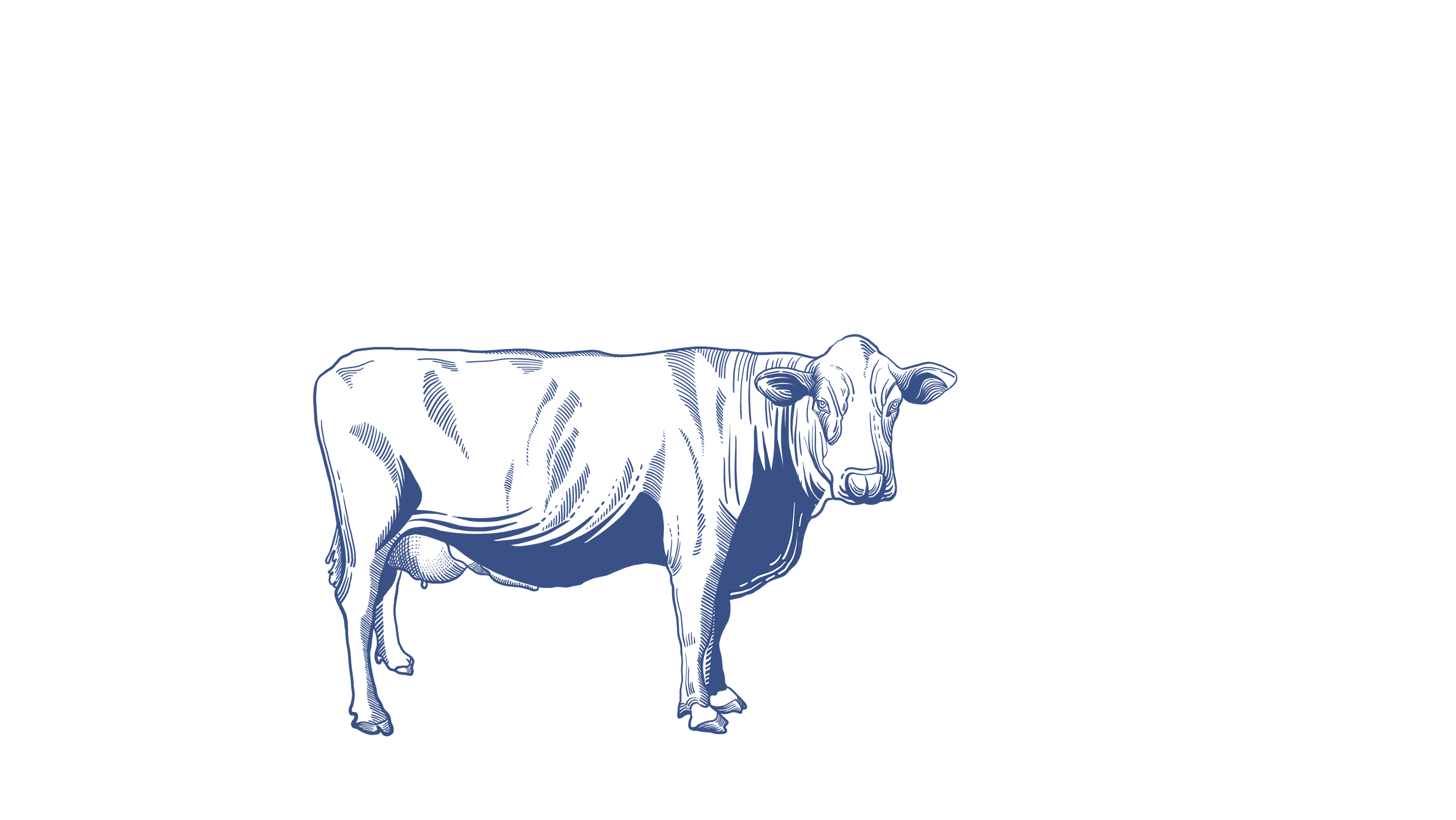 食尚加 | 肉类品牌包装设计【原创】(图ZMjI5ODg0MDEy) - 包装 - 站酷设计师菩示熊品牌设计原创素材 - 站酷ZCOOL