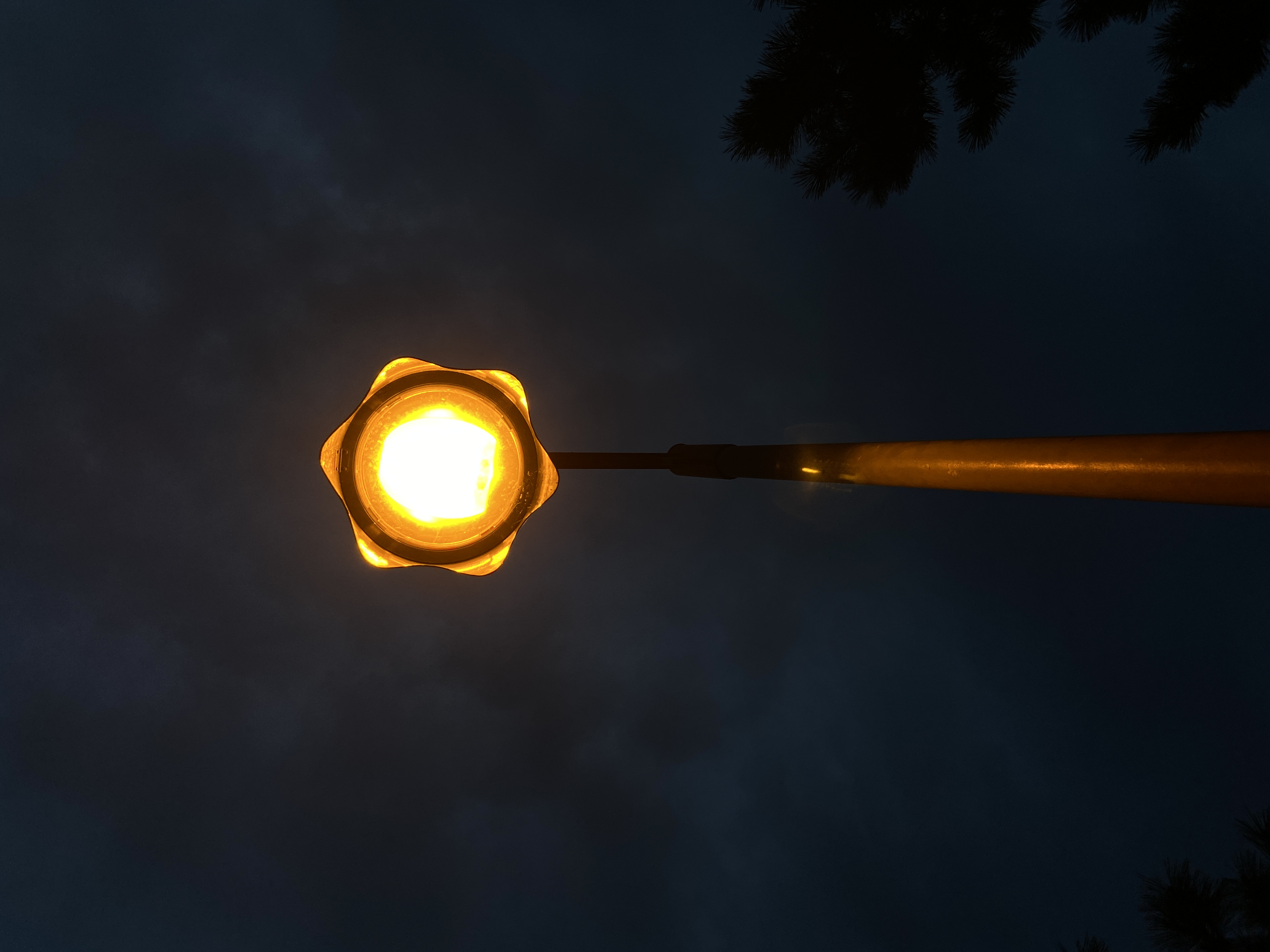 珍君的個人主頁（封面預(yù)覽） - 主頁封面設(shè)置 - 站酷設(shè)計師珍君原創(chuàng)素材 - 站酷ZCOOL