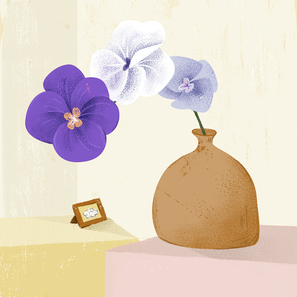 花花草草瓶瓶罐罐