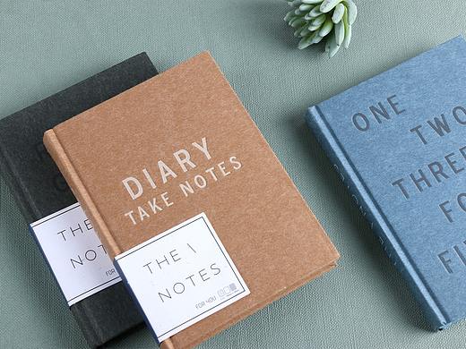 《素色生活》精装