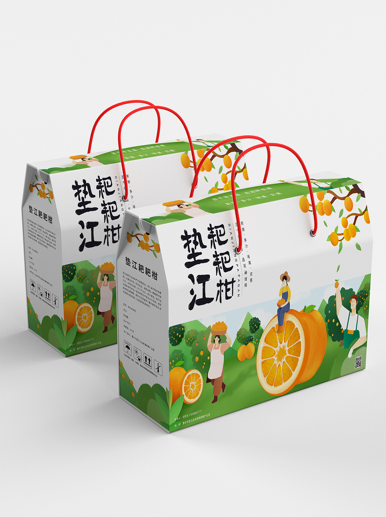 包装设计-垫江耙耙柑